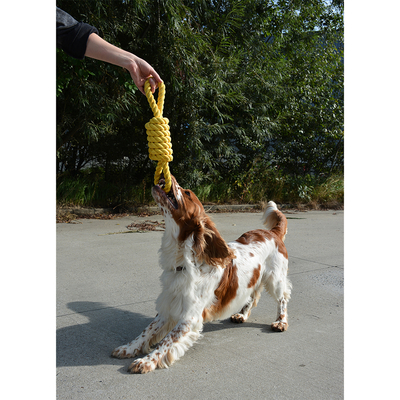Duvo - 305/468715 Köpek Dental Sarı Halat, Oyun İpi Oyuncak 32 cm Duvo - 305/468715 Köpek Dental Sarı Halat, Oyun İpi Oyuncak 32 cm