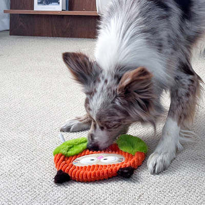 4114 Orman Kaşifi Baykuş – İpli Köpek Oyuncağı - Thumbnail