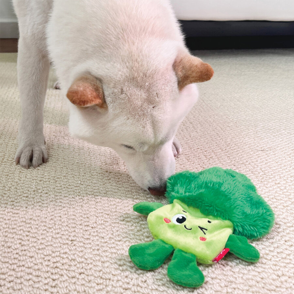 4179 Suppa Puppa Brokoli Sesli Köpek Oyuncağı