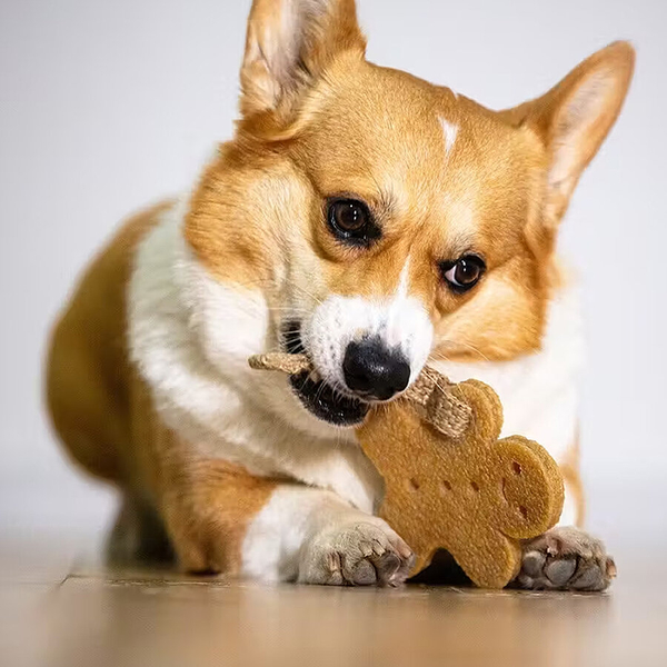 6039 Gum Gum Kurabiye Adam Köpek Oyuncağı
