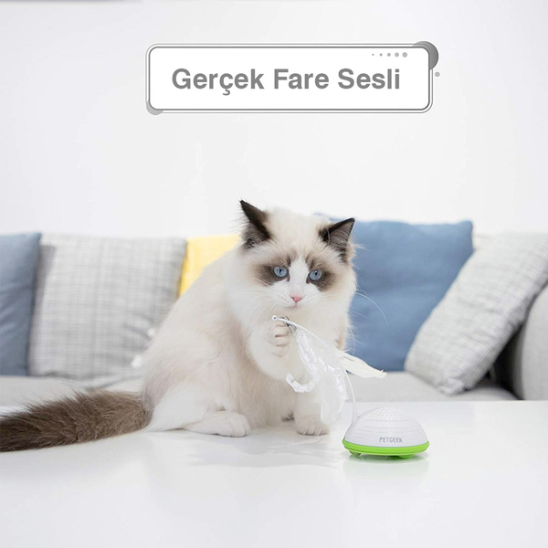 9022 Otomatik Kedi Oltası