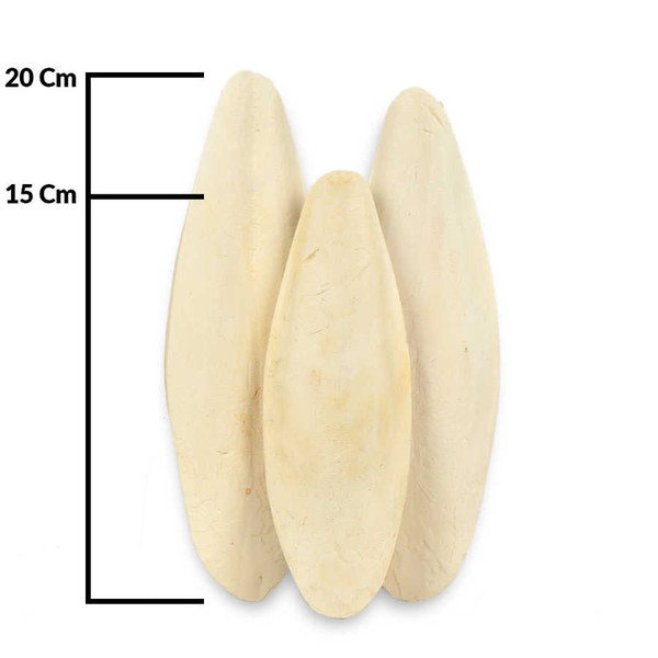 Büyük Boy Dökme Mürekkep Bal.Kemiği 3 Kg (Kalamar) 15-20 cm. Büyük Boy Dökme Mürekkep Bal.Kemiği 3 Kg (Kalamar) 15-20 cm.