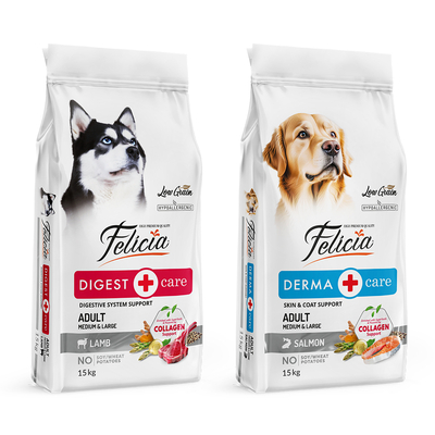 Felicia - Felicia 15 Kg Kolajenli Lansman Seti 2 Adet - AĞUSTOS