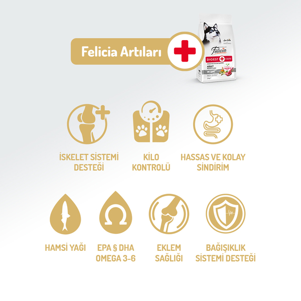 Felicia 15 Kg Kolajenli Kuzulu Az Tahıllı M/Large Yetişkin Köpek Maması Breed HypoAllergenic Köpek Maması Felicia 15 Kg Kolajenli Kuzulu Az Tahıllı M/Large Yetişkin Köpek Maması Breed HypoAllergenic Köpek Maması