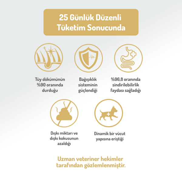 Felicia 15 Kg Kolajenli Kuzulu Az Tahıllı M/Large Yetişkin Köpek Maması Breed HypoAllergenic Köpek Maması Felicia 15 Kg Kolajenli Kuzulu Az Tahıllı M/Large Yetişkin Köpek Maması Breed HypoAllergenic Köpek Maması