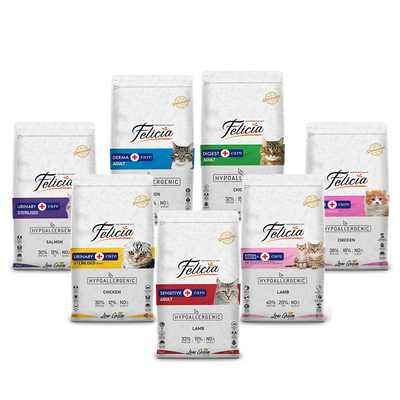 Felicia - Felicia 2 Kg Kedi Maması Seti - Eylül Felicia - Felicia 2 Kg Kedi Maması Seti - Eylül