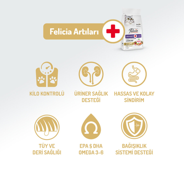 Felicia 5 Kg Kolajenli Somonlu Az Tahıllı Kısırlaştırılmış Kedi Maması HypoAllergenic Kedi Maması