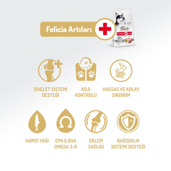 Felicia 6 Kg (2x3 Kg) Kolajenli Kuzulu Az Tahıllı M/Large Yetişkin Köpek Maması. Breed HypoAllergenic Köpek Maması Felicia 6 Kg (2x3 Kg) Kolajenli Kuzulu Az Tahıllı M/Large Yetişkin Köpek Maması. Breed HypoAllergenic Köpek Maması