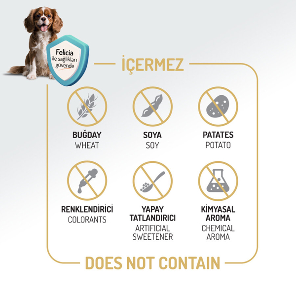 Felicia 6 Kg (2x3 Kg) Kolajenli Somonlu Az Tahıllı M/Large Yetişkin Köpek Maması. Breed HypoAllergenic Köpek Maması Felicia 6 Kg (2x3 Kg) Kolajenli Somonlu Az Tahıllı M/Large Yetişkin Köpek Maması. Breed HypoAllergenic Köpek Maması