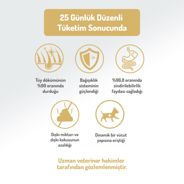 Felicia 6 Kg (2x3 Kg) Kolajenli Somonlu Az Tahıllı M/Large Yetişkin Köpek Maması. Breed HypoAllergenic Köpek Maması Felicia 6 Kg (2x3 Kg) Kolajenli Somonlu Az Tahıllı M/Large Yetişkin Köpek Maması. Breed HypoAllergenic Köpek Maması
