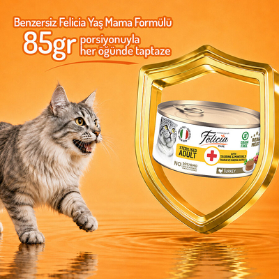 Felicia 85 Gr Hindili Ezme Kısırlaştırılmış Kedi Konserve Maması 24 Adet - Thumbnail