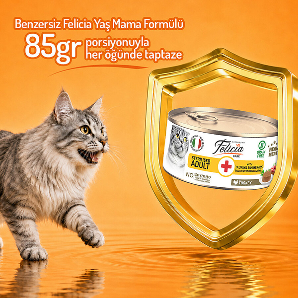 Felicia 85 Gr Hindili Ezme Kısırlaştırılmış Kedi Konserve Maması 24 Adet