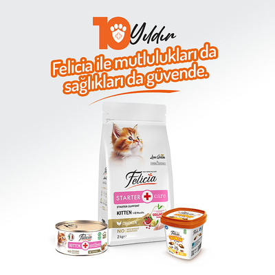 Felicia 85 gr Tavuklu Püre Yavru Kedi Konserve Maması 24 Adet - Thumbnail