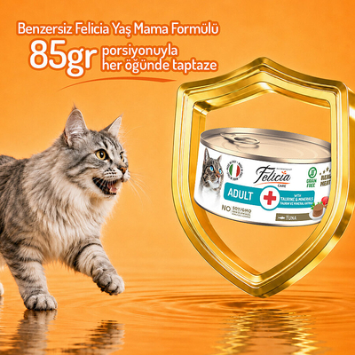 Felicia 85 gr Ton Balıklı Ezme Yetişkin Kedi Konserve Maması 24 Adet - Thumbnail