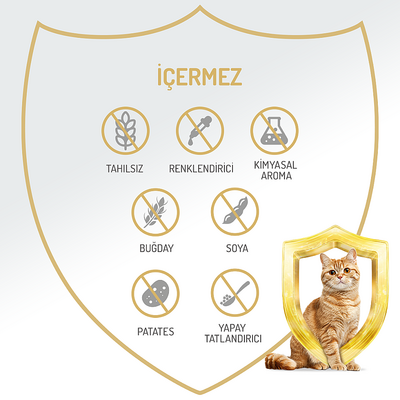Felicia Kısır Tahılsız Somonlu Kedi Konserve 400g - 12 Adet - Thumbnail