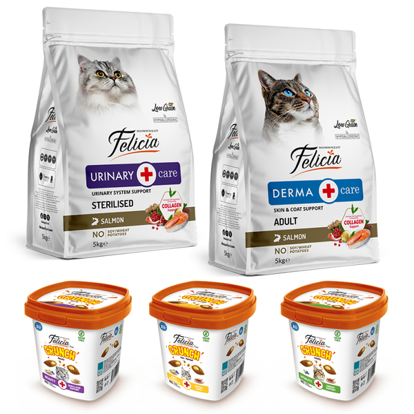 Felicia Yeni Yıl Avantajlı 5 Kg Kedi Maması ve Crunch Seti