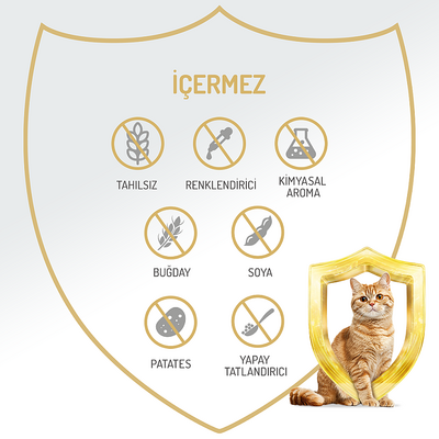 Felicia Yetişkin Tahılsız Biftekli Kedi Konserve 400g - 12 Adet - Thumbnail