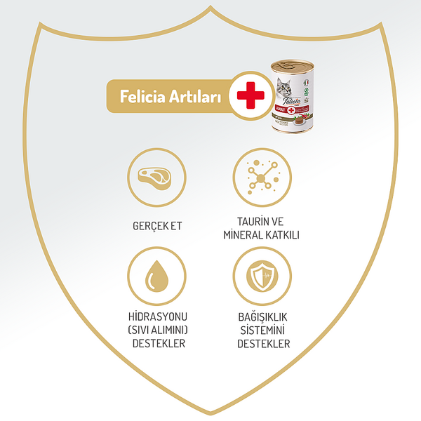 Felicia Yetişkin Tahılsız Biftekli Kedi Konserve 400g - 12 Adet