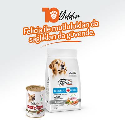 Felicia Yetişkin Tahılsız Biftekli Köpek Konserve 400g - 12 Adet - Thumbnail
