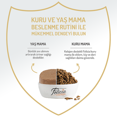 Felicia Yetişkin Tahılsız Tavuklu Kedi Konserve 400g - 12 Adet - Thumbnail
