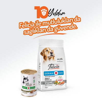 Felicia Yetişkin Tahılsız Tavuklu Köpek Konserve 400g - 12 Adet - Thumbnail