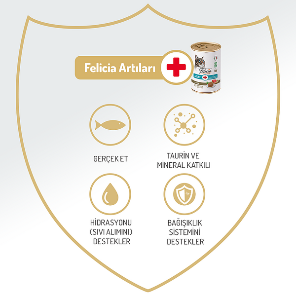 Felicia Yetişkin Tahılsız Ton Balıklı Kedi Konserve 400g - 12 Adet