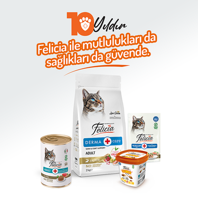 Felicia Yetişkin Tahılsız Ton Balıklı Kedi Konserve 400g - 12 Adet - Thumbnail