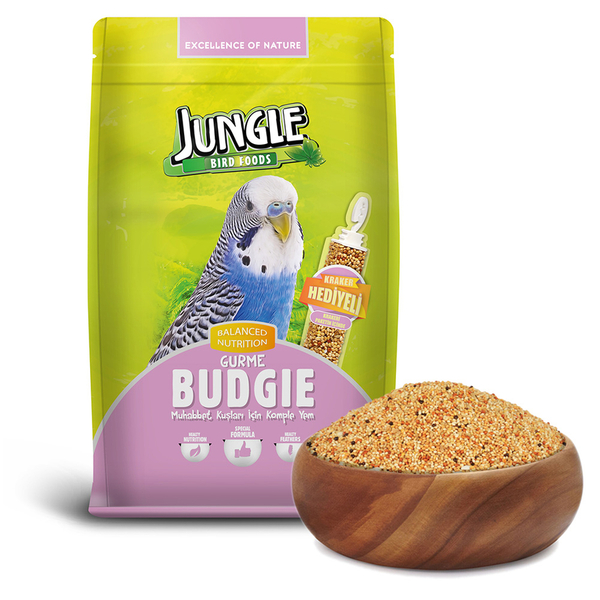 Jungle Gurme Muhabbet 400 gr Kraker Hediyeli 12'li