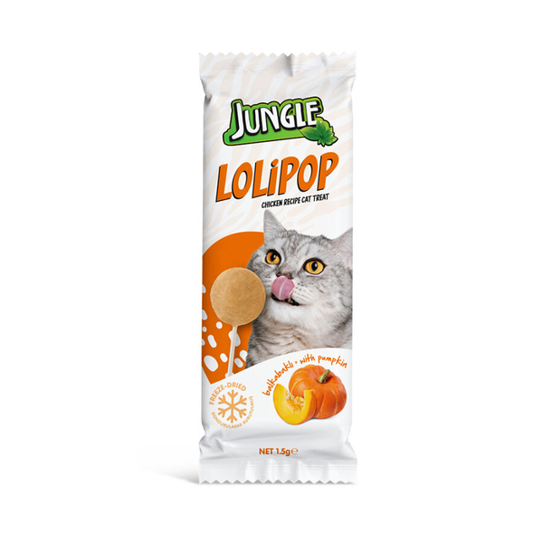 Jungle Kedi Lolipop Bal Kabaklı *1,5g *12'li