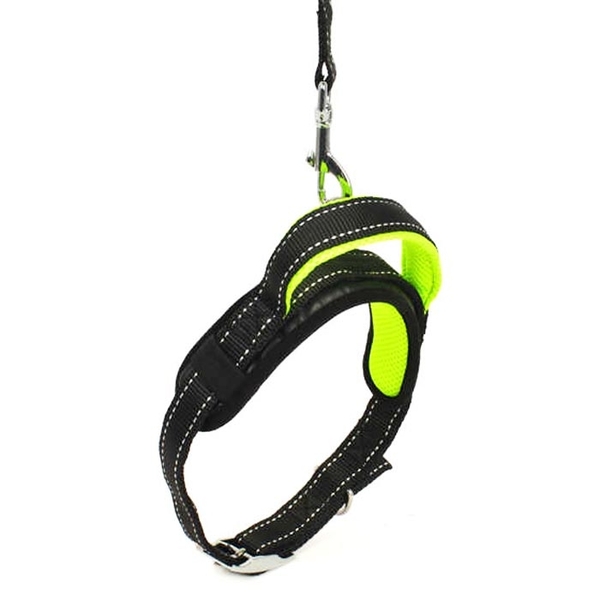 SLL 116 Gezdirme+Boyun Tasması Tkm.2,5 cm-120 cm SLL 116 Gezdirme+Boyun Tasması Tkm.2,5 cm-120 cm