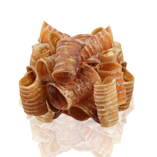 Snacky Kurutulmuş Dana Gırtlak 80 g - 4'lü Paket Snacky Kurutulmuş Dana Gırtlak 80 g - 4'lü Paket