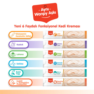 Wanpy Bone Support Sığır Eti&Tavuk 12'li-F.Krema Ödül 5x14gr - Thumbnail