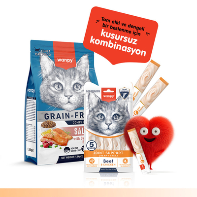 Wanpy Bone Support Sığır Eti&Tavuk 12'li-F.Krema Ödül 5x14gr - Thumbnail