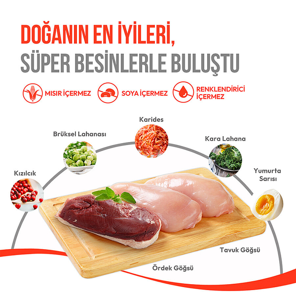 Wanpy Dondurularak Kurutulmuş Fluffy Toppers – Tavuk & Kedi Otu - 30g