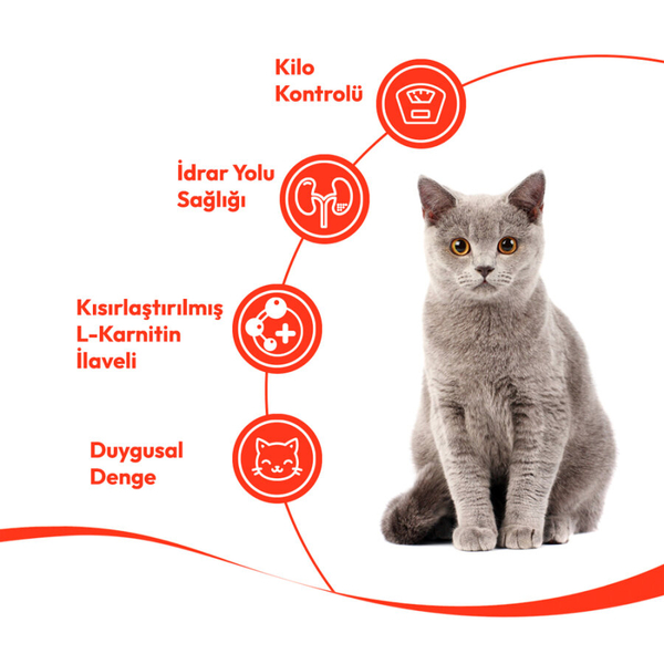 Wanpy Hindi & Kızılcıklı 12’li – Kısırlaştırılmış Kedi Krema Ödülü 5×14 g