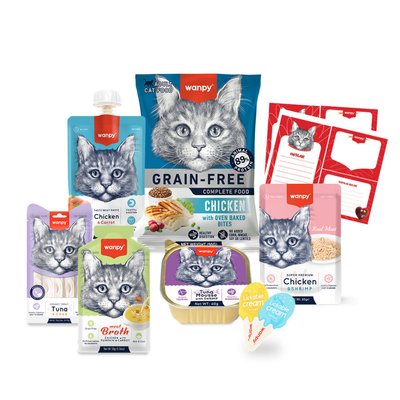 Wanpy Kalp Temalı Kutu Seti Kedi_6'lı Koli - Thumbnail