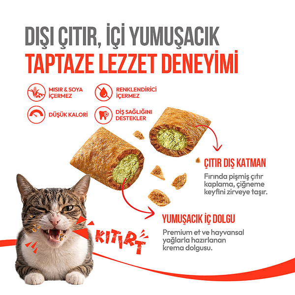 Wanpy Kedi Crunch Ödül Catnipli & Tavuklu 60g - 10'lu
