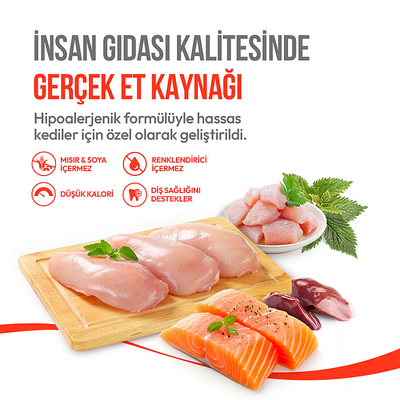 Wanpy Kedi Crunch Ödül Catnipli & Tavuklu 60g - 10'lu - Thumbnail