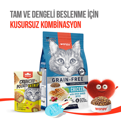Wanpy Kedi Crunch Ödül Catnipli & Tavuklu 60g - 10'lu - Thumbnail