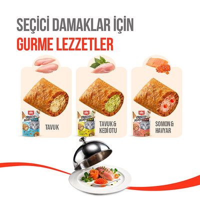 Wanpy Kedi Crunch Ödül Tavuk 60g - 10'lu - Thumbnail