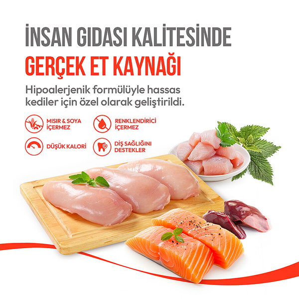 Wanpy Kedi Crunch Ödül Tavuk 60g - 10'lu
