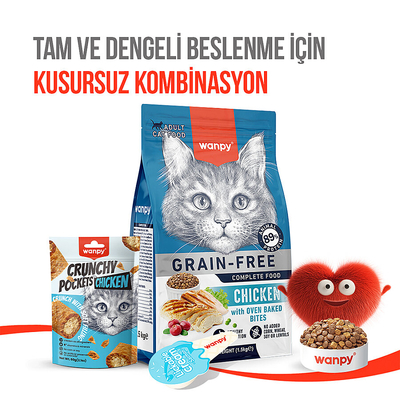 Wanpy Kedi Crunch Ödül Tavuk 60g - 10'lu - Thumbnail