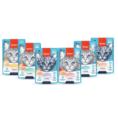 Wanpy - Wanpy Kedi Pouch Lansman Seti - TEMMUZ Wanpy - Wanpy Kedi Pouch Lansman Seti - TEMMUZ