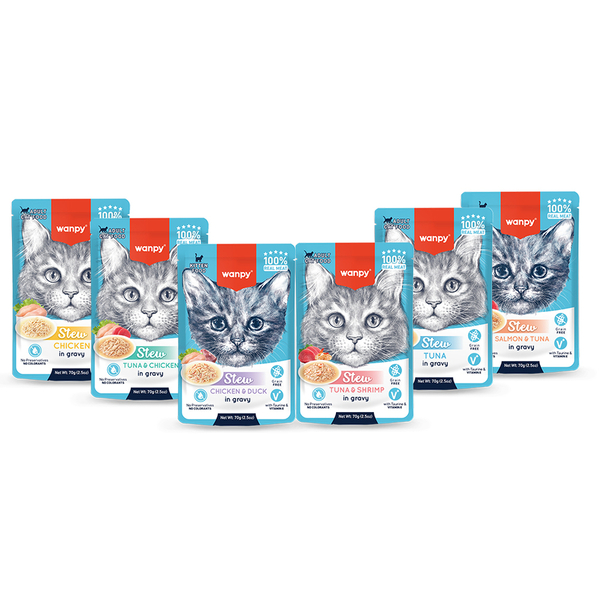 Wanpy Kedi Pouch Lansman Seti - TEMMUZ Wanpy Kedi Pouch Lansman Seti - TEMMUZ