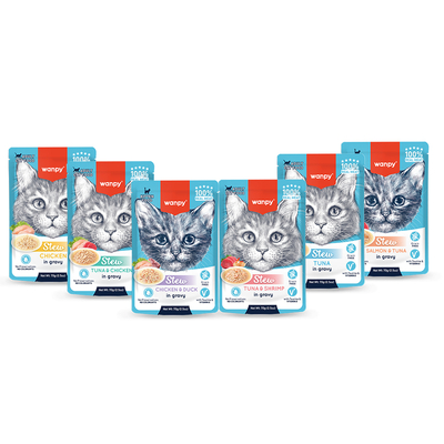 Wanpy - Wanpy Kedi Pouch Lansman Seti - TEMMUZ