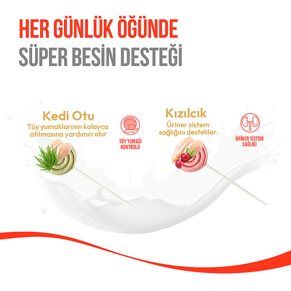 Wanpy Kediler İçin Dondurularak Kurutulmuş Lolipop - Kedi Otu - 1.4 g*10'lu