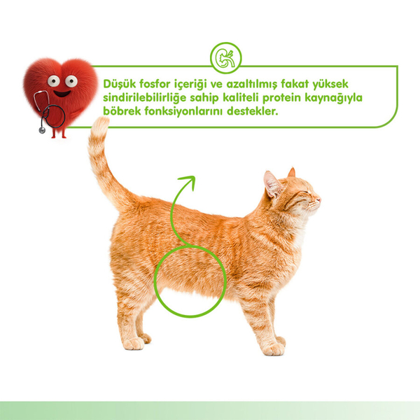 Wanpy Kidney Health Tavuk&Sebze 12'li-F.Krema Ödül 5x14gr