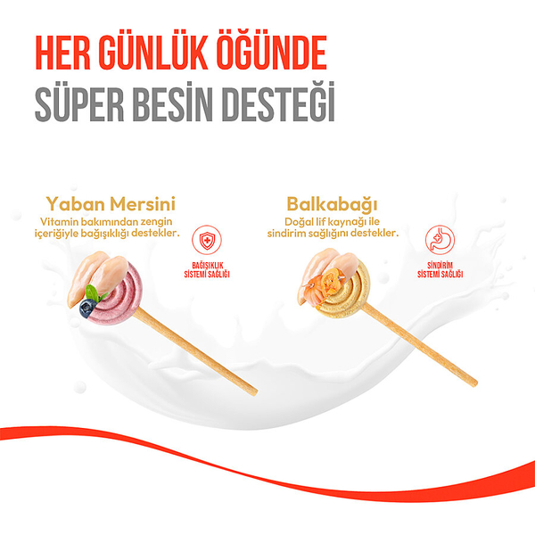 Wanpy Köpekler İçin Dondurularak Kurutulmuş Lolipop - Yaban Mersinli - 6 g*10'lu