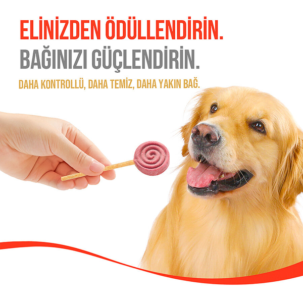 Wanpy Köpekler İçin Dondurularak Kurutulmuş Lolipop - Yaban Mersinli - 6 g*10'lu