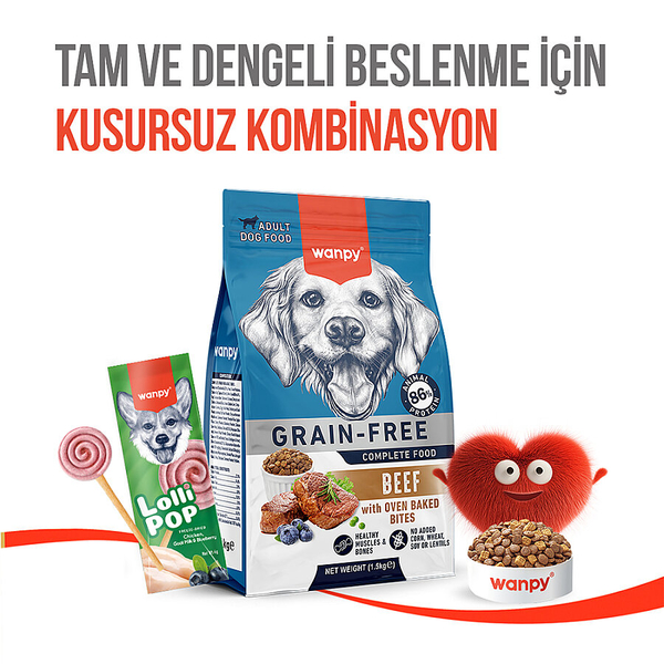 Wanpy Köpekler İçin Dondurularak Kurutulmuş Lolipop - Yaban Mersinli - 6 g*10'lu